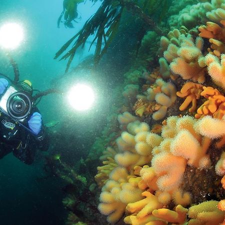 Gulen Dive Resort Dalsoyra ภายนอก รูปภาพ