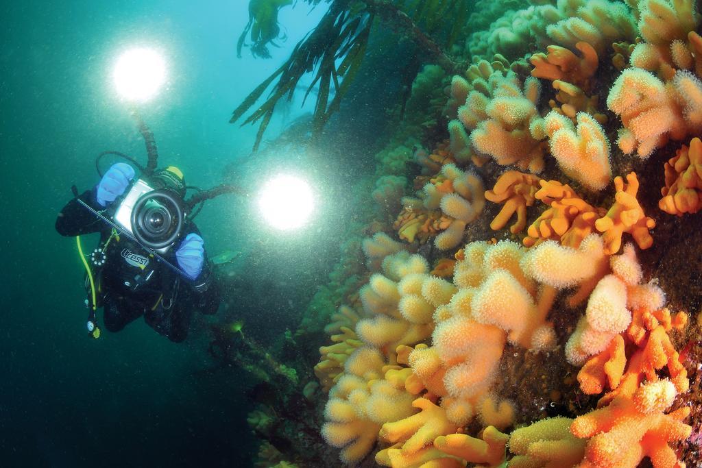 Gulen Dive Resort Dalsoyra ภายนอก รูปภาพ